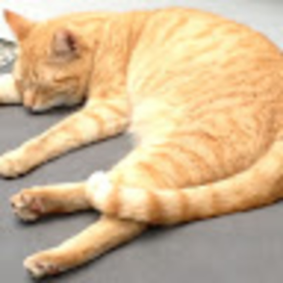 Meet your Posher, Graham - Picture 1 of 1